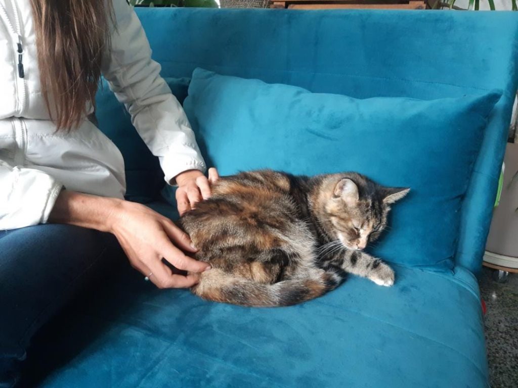 475530382_947022597534520_5434134611583880974_n