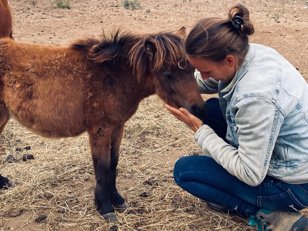 483525246_974243584812421_1632936992694103119_n