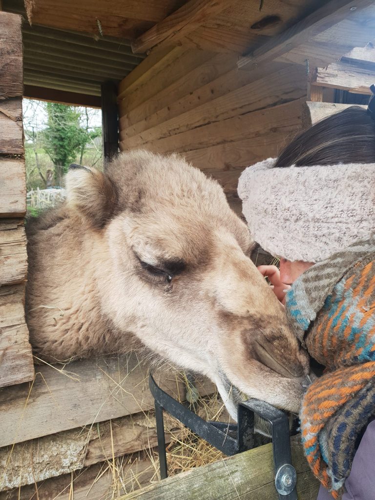 483853259_975313351372111_2811435520538597647_n