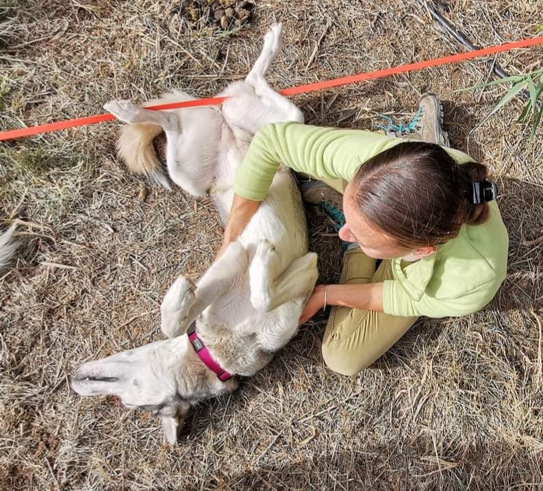 483884455_974462724790507_1992028681222590740_n