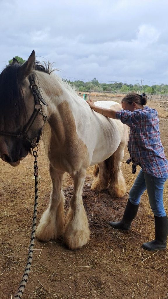 484529171_975876337982479_2994039438997882263_n