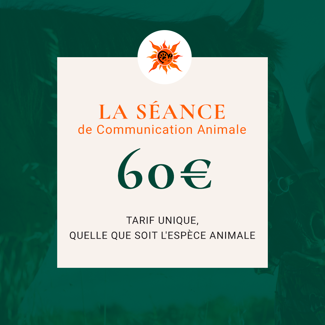 Visuel Séance 60€