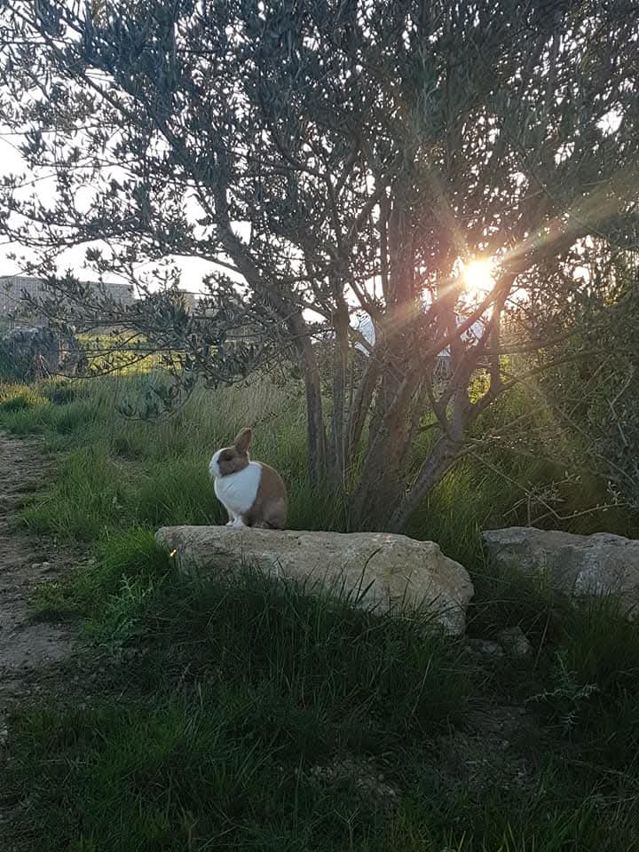 FB_IMG_1748793108242