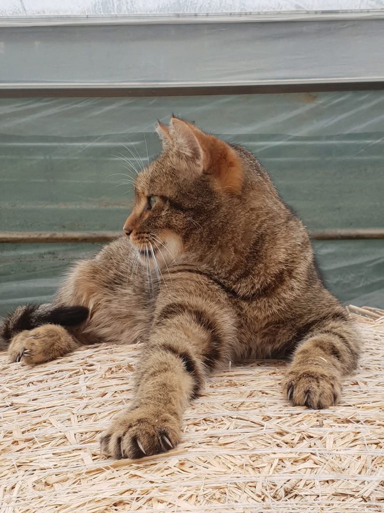 FB_IMG_1748793286985