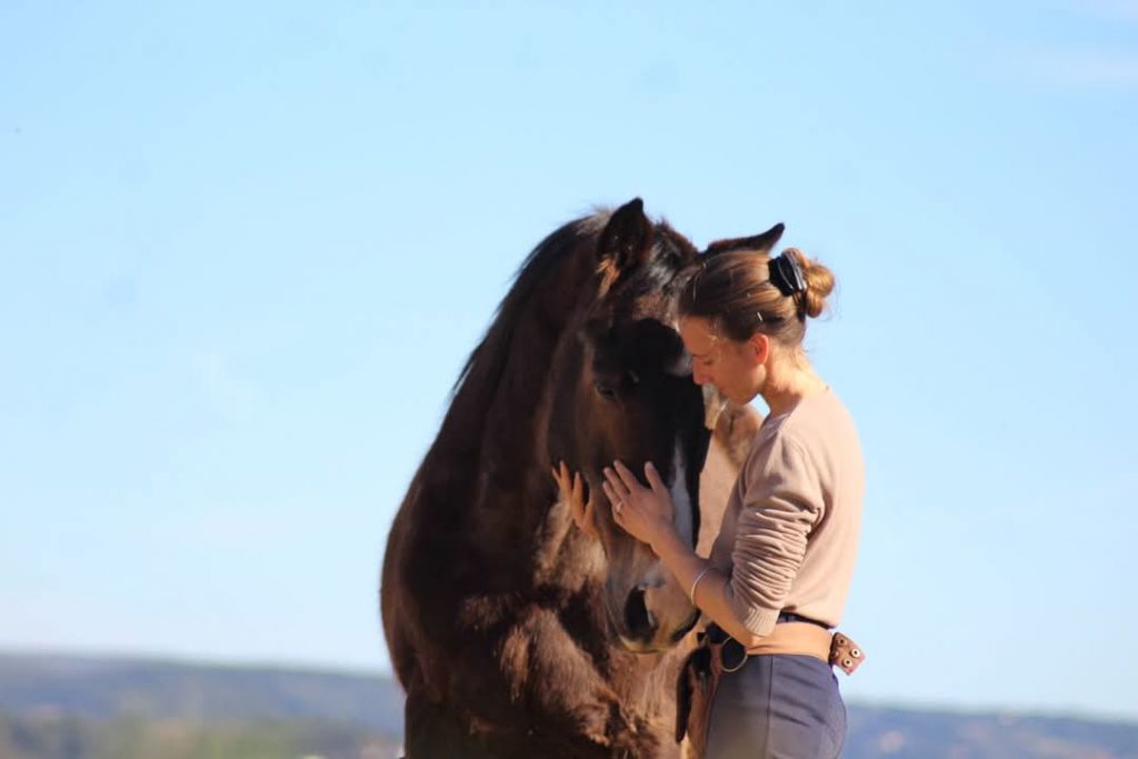 FB_IMG_1748793501264