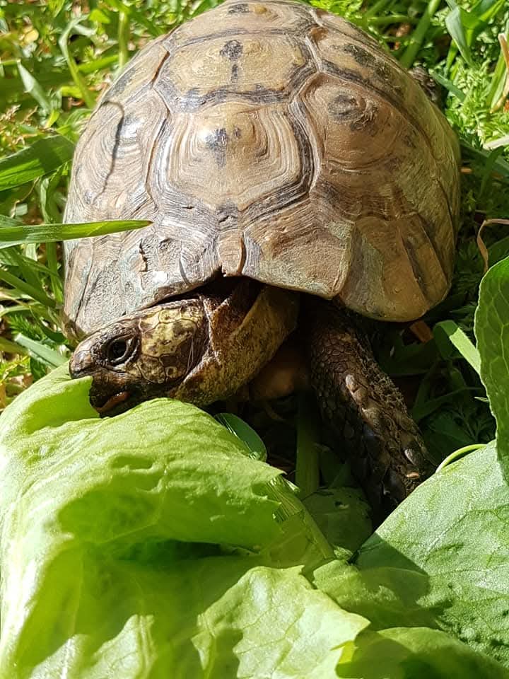 FB_IMG_1748793628869