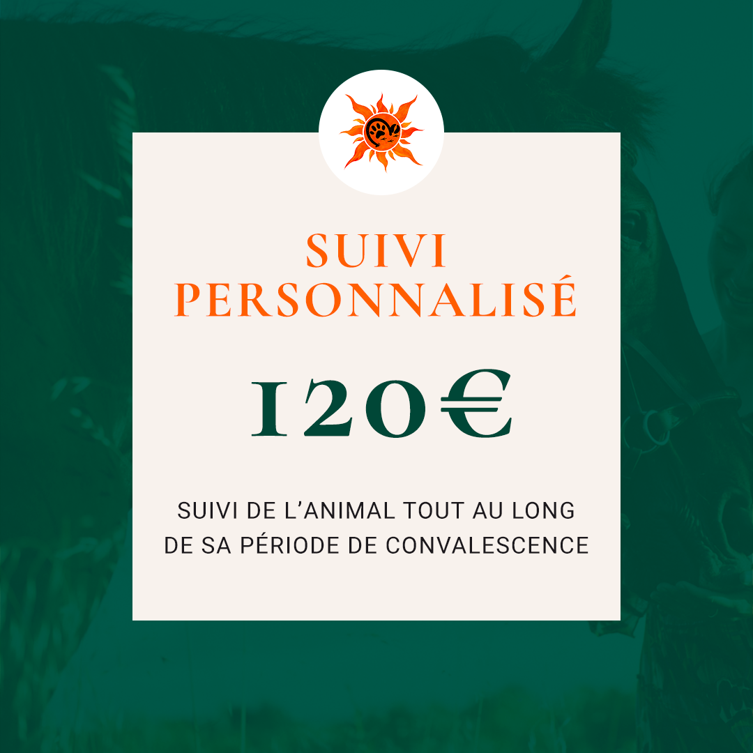 Visuel-Suivi-personnalise-120€